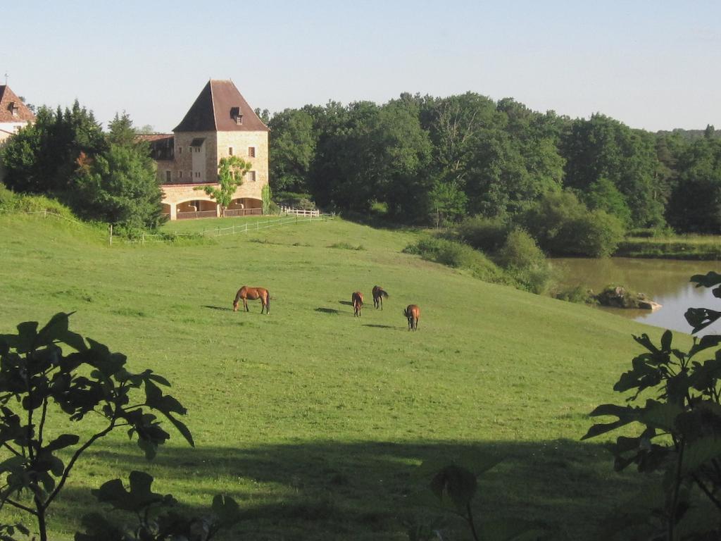 Manoir Du Grand Vignoble Hotell Saint-Julien-de-Crempse Exteriör bild