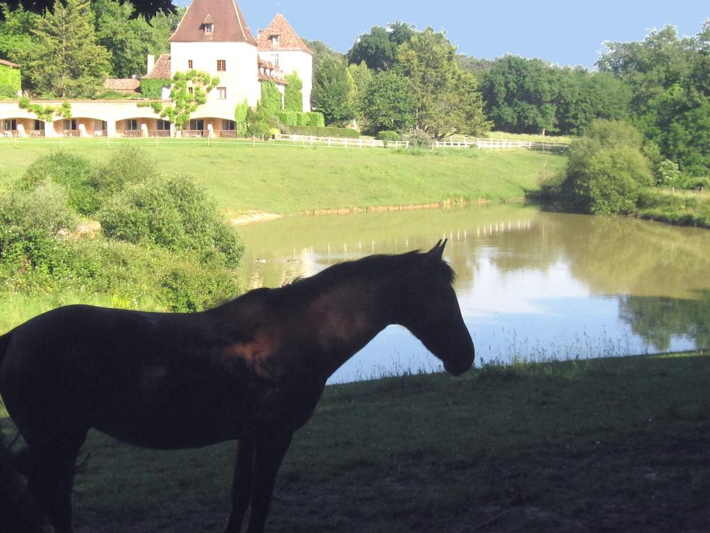 Manoir Du Grand Vignoble Hotell Saint-Julien-de-Crempse Exteriör bild